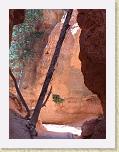 418. navajo loop * 1704 x 2272 * (2.06MB)